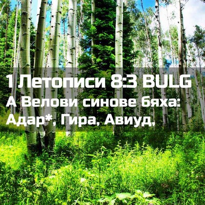 Picture 02 - 1 Летописи 8:3 BULG - А Велови синове бяха: Адар*, - Bible Verse Picture