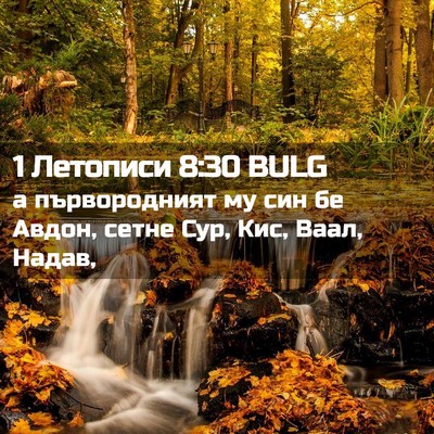 Picture 02 - 1 Летописи 8:30 BULG - а първородният му син бе - Bible Verse Picture