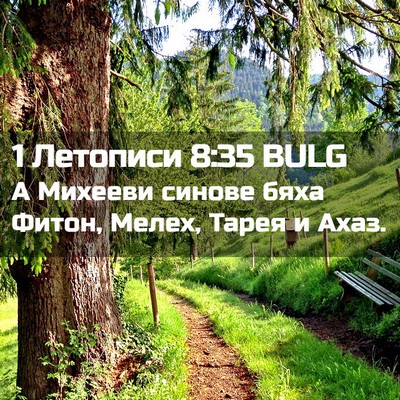 Picture 02 - 1 Летописи 8:35 BULG - А Михееви синове бяха - Bible Verse Picture