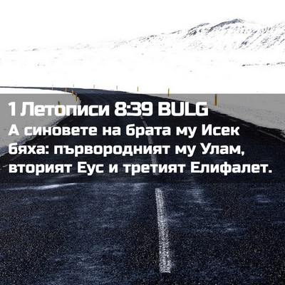 Picture 02 - 1 Летописи 8:39 BULG - А синовете на брата му Исек - Bible Verse Picture