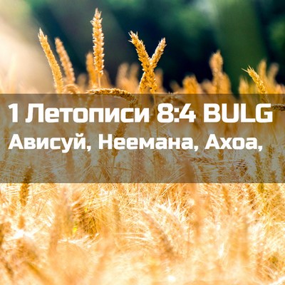 Picture 02 - 1 Летописи 8:4 BULG - Ависуй, Неемана, - Bible Verse Picture
