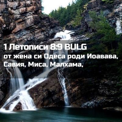 Picture 02 - 1 Летописи 8:9 BULG - от жена си Одеса роди - Bible Verse Picture