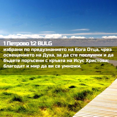 Picture 02 - 1 Петрово 1:2 BULG - избрани по предузнанието - Bible Verse Picture