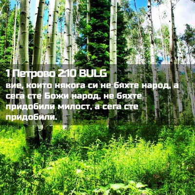 Picture 02 - 1 Петрово 2:10 BULG - вие, които някога си не - Bible Verse Picture