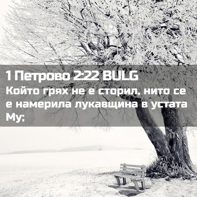 Picture 02 - 1 Петрово 2:22 BULG - Който грях не е сторил, - Bible Verse Picture