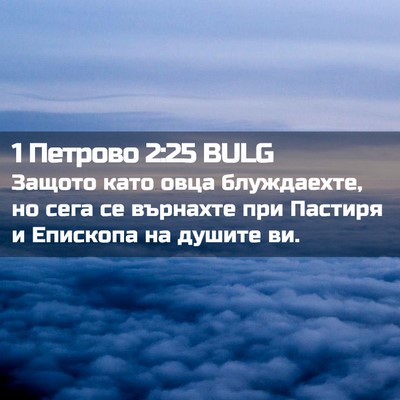 Picture 02 - 1 Петрово 2:25 BULG - Защото като овца - Bible Verse Picture