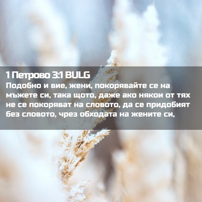 Picture 02 - 1 Петрово 3:1 BULG - Подобно и вие, жени, - Bible Verse Picture