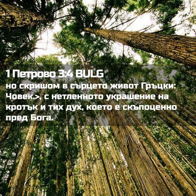 Picture 02 - 1 Петрово 3:4 BULG - но скришом в сърцето живот - Bible Verse Picture