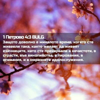 Picture 02 - 1 Петрово 4:3 BULG - Защото доволно е миналото - Bible Verse Picture