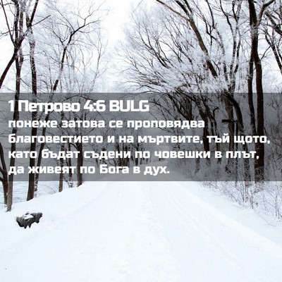 Picture 02 - 1 Петрово 4:6 BULG - понеже затова се - Bible Verse Picture