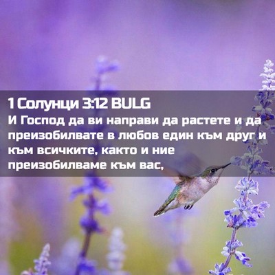 Picture 02 - 1 Солунци 3:12 BULG - И Господ да ви направи да - Bible Verse Picture
