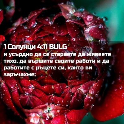 Picture 02 - 1 Солунци 4:11 BULG - и усърдно да се стараете да - Bible Verse Picture