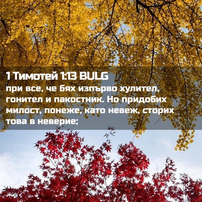 Picture 02 - 1 Тимотей 1:13 BULG - при все, че бях изпърво - Bible Verse Picture