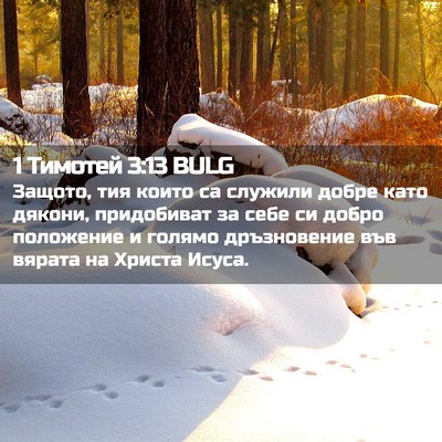 Picture 02 - 1 Тимотей 3:13 BULG - Защото, тия които са - Bible Verse Picture
