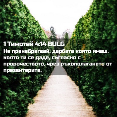 Picture 02 - 1 Тимотей 4:14 BULG - Не пренебрегвай, дарбата - Bible Verse Picture