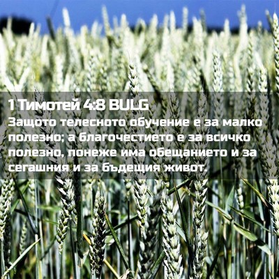 Picture 02 - 1 Тимотей 4:8 BULG - Защото телесното обучение - Bible Verse Picture