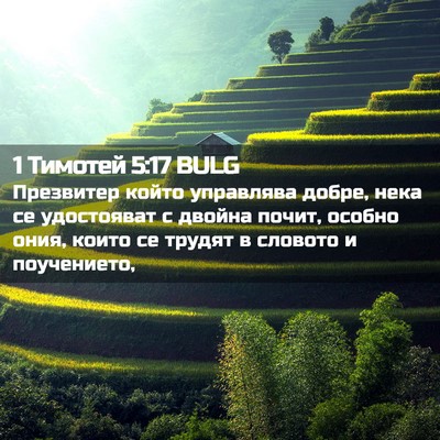 Picture 02 - 1 Тимотей 5:17 BULG - Презвитер който управлява - Bible Verse Picture