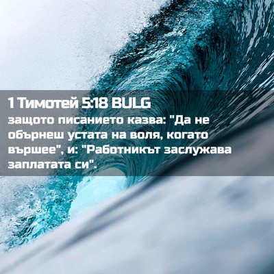 Picture 02 - 1 Тимотей 5:18 BULG - защото писанието казва: 
