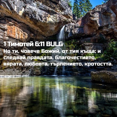 Picture 02 - 1 Тимотей 6:11 BULG - Но ти, човече Божий, от тия - Bible Verse Picture