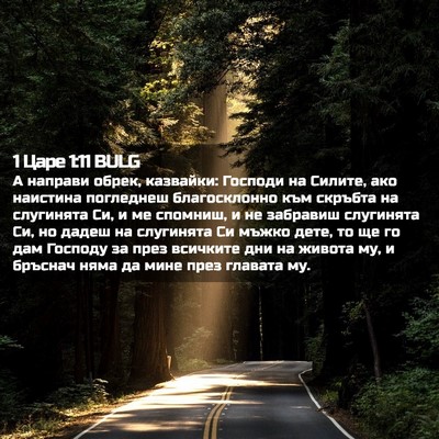 Picture 02 - 1 Царе 1:11 BULG - А направи обрек, казвайки: - Bible Verse Picture