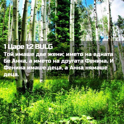 Picture 02 - 1 Царе 1:2 BULG - Той имаше две жени; името - Bible Verse Picture