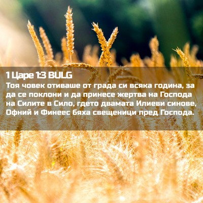 Picture 02 - 1 Царе 1:3 BULG - Тоя човек отиваше от града - Bible Verse Picture