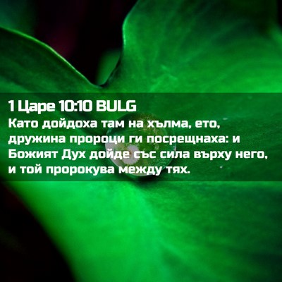 Picture 02 - 1 Царе 10:10 BULG - Като дойдоха там на хълма, - Bible Verse Picture