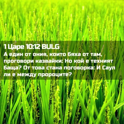 Picture 02 - 1 Царе 10:12 BULG - А един от ония, които бяха - Bible Verse Picture