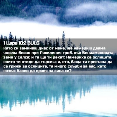 Picture 02 - 1 Царе 10:2 BULG - Като си заминеш днес от - Bible Verse Picture