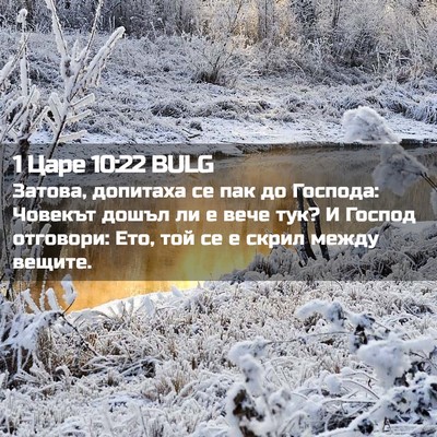 Picture 02 - 1 Царе 10:22 BULG - Затова, допитаха се пак до - Bible Verse Picture