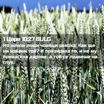 Picture 02 - 1 Царе 10:27 BULG - Но някои лоши човеци - Bible Verse Picture