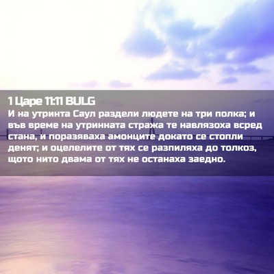 Picture 02 - 1 Царе 11:11 BULG - И на утринта Саул раздели - Bible Verse Picture
