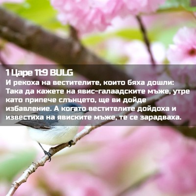 Picture 02 - 1 Царе 11:9 BULG - И рекоха на вестителите, - Bible Verse Picture