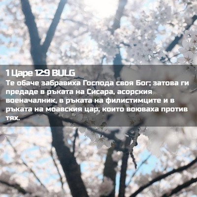 Picture 02 - 1 Царе 12:9 BULG - Те обаче забравиха Господа - Bible Verse Picture