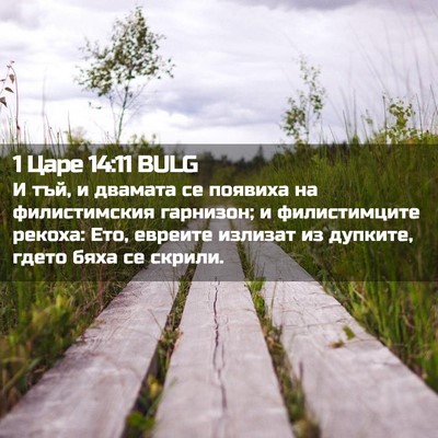 Picture 02 - 1 Царе 14:11 BULG - И тъй, и двамата се появиха - Bible Verse Picture