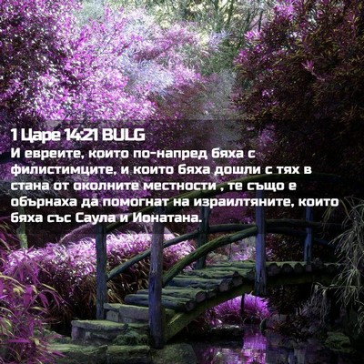 Picture 02 - 1 Царе 14:21 BULG - И евреите, които по-напред - Bible Verse Picture