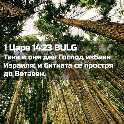 Picture 02 - 1 Царе 14:23 BULG - Така в оня ден Господ - Bible Verse Picture
