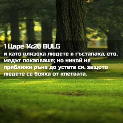 Picture 02 - 1 Царе 14:26 BULG - и като влязоха людете в - Bible Verse Picture