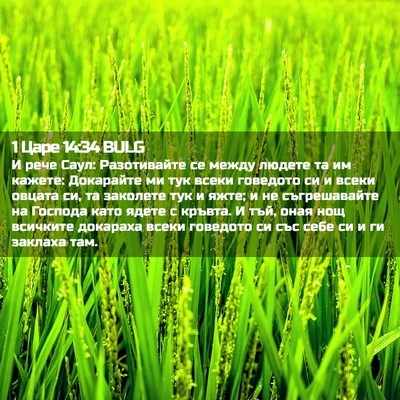 Picture 02 - 1 Царе 14:34 BULG - И рече Саул: Разотивайте се - Bible Verse Picture