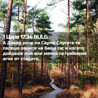 Picture 02 - 1 Царе 17:34 BULG - А Давид рече на Саула: - Bible Verse Picture