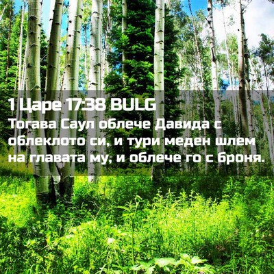 Picture 02 - 1 Царе 17:38 BULG - Тогава Саул облече Давида - Bible Verse Picture