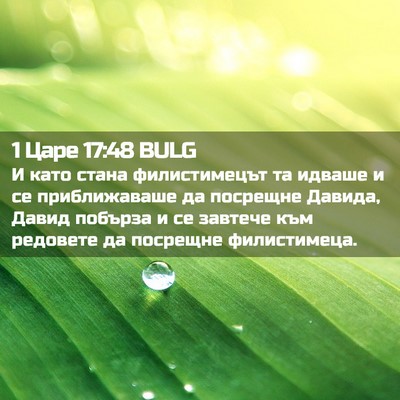 Picture 02 - 1 Царе 17:48 BULG - И като стана филистимецът - Bible Verse Picture