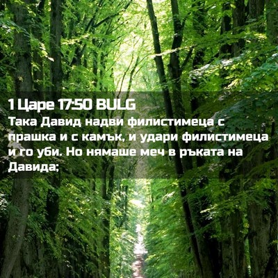 Picture 02 - 1 Царе 17:50 BULG - Така Давид надви - Bible Verse Picture