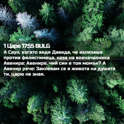 Picture 02 - 1 Царе 17:55 BULG - А Саул, когато видя Давида, - Bible Verse Picture
