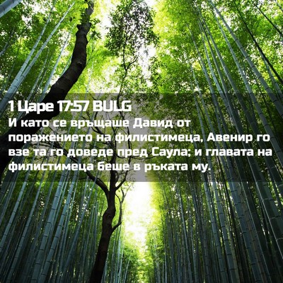Picture 02 - 1 Царе 17:57 BULG - И като се връщаше Давид от - Bible Verse Picture