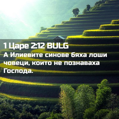 Picture 02 - 1 Царе 2:12 BULG - А Илиевите синове бяха - Bible Verse Picture