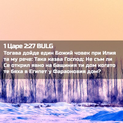 Picture 02 - 1 Царе 2:27 BULG - Тогава дойде един Божий - Bible Verse Picture