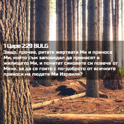 Picture 02 - 1 Царе 2:29 BULG - Защо, прочее, ритате - Bible Verse Picture