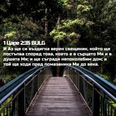 Picture 02 - 1 Царе 2:35 BULG - И Аз ще си въздигна верен - Bible Verse Picture