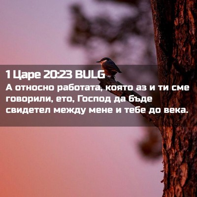 Picture 02 - 1 Царе 20:23 BULG - А относно работата, която - Bible Verse Picture